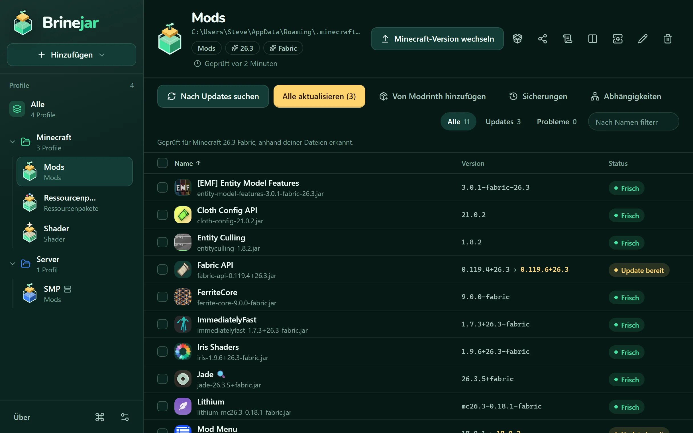 Brinejar listet die Mods eines Profils mit Versionen und Status auf