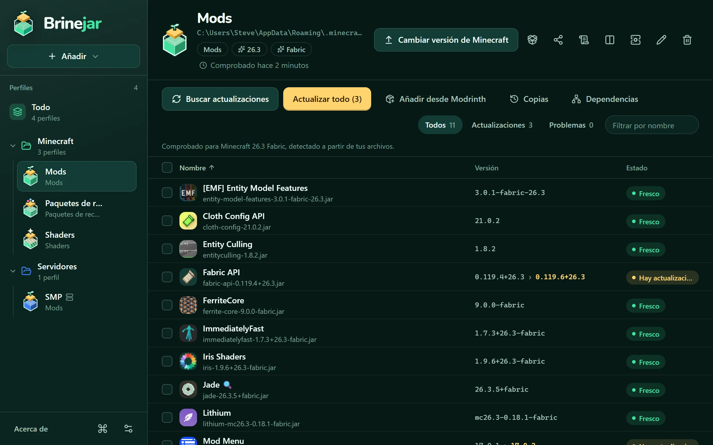 Brinejar mostrando los mods de un perfil, con sus versiones y estados