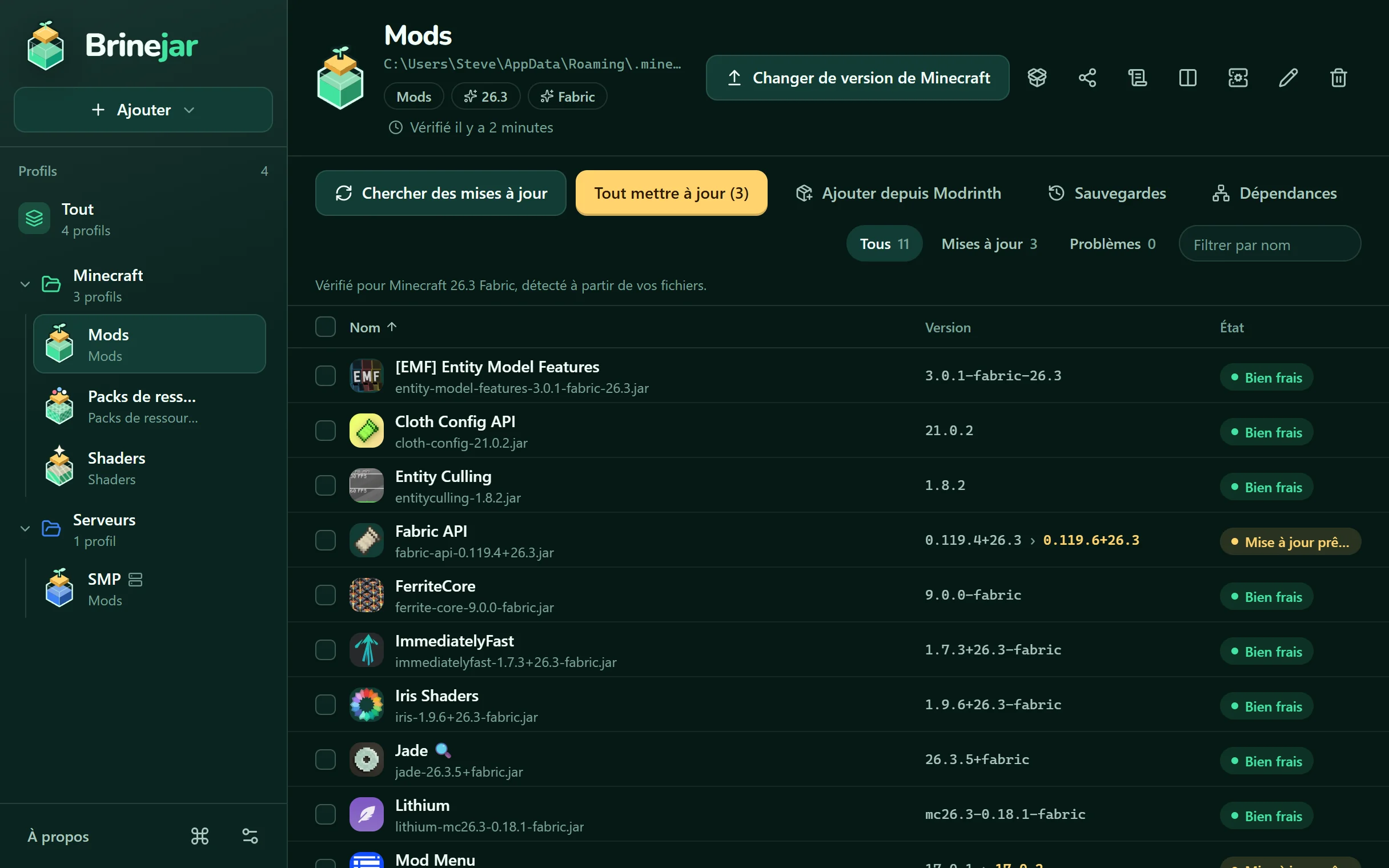 Brinejar liste les mods d'un profil, avec leurs versions et leurs états