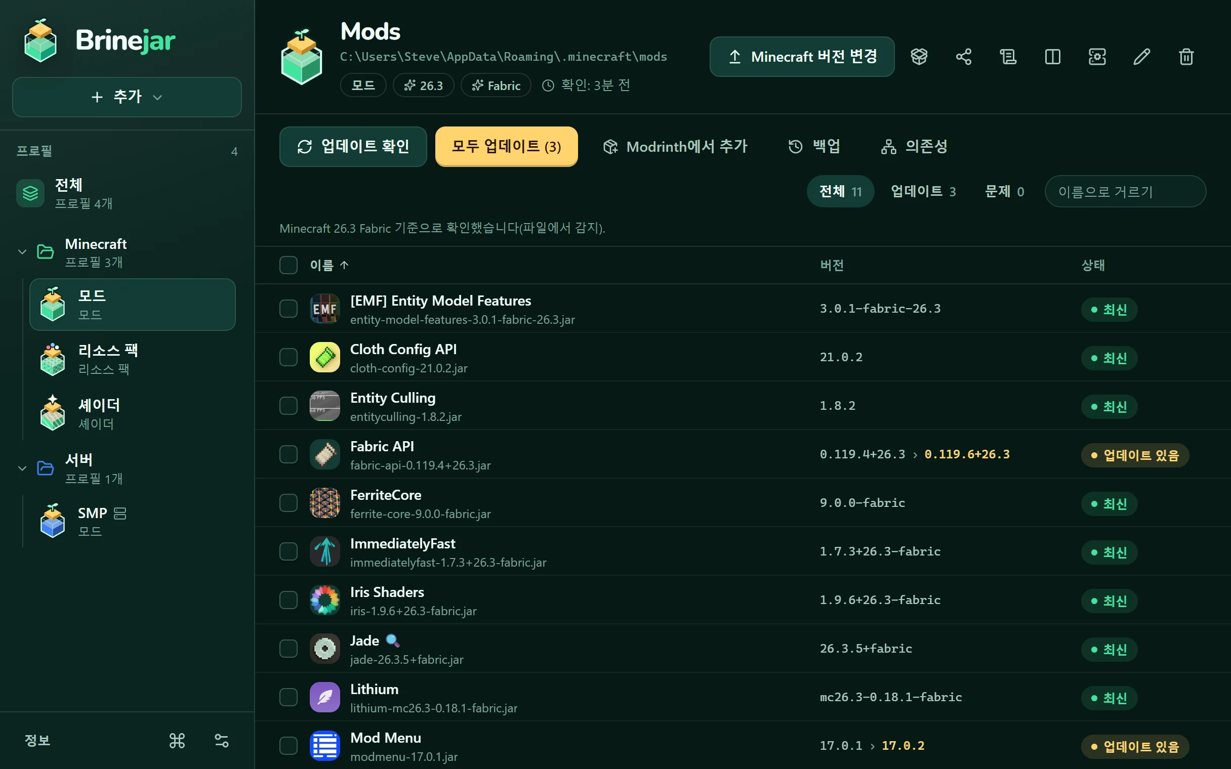 프로필의 모드를 버전과 상태와 함께 보여 주는 Brinejar