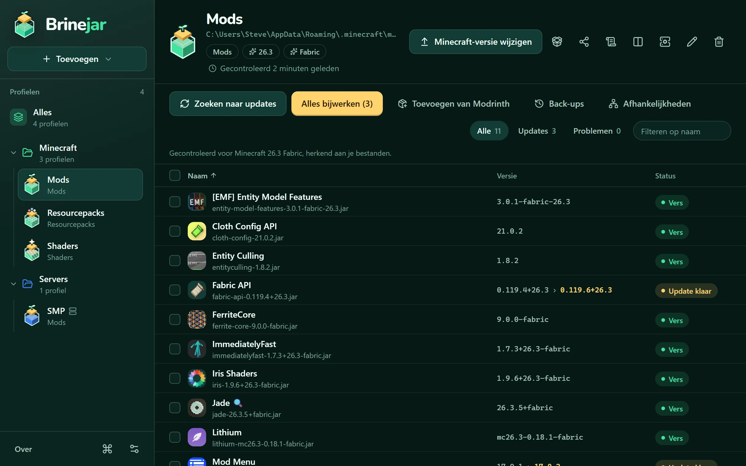 Brinejar toont de mods van een profiel, met hun versies en status