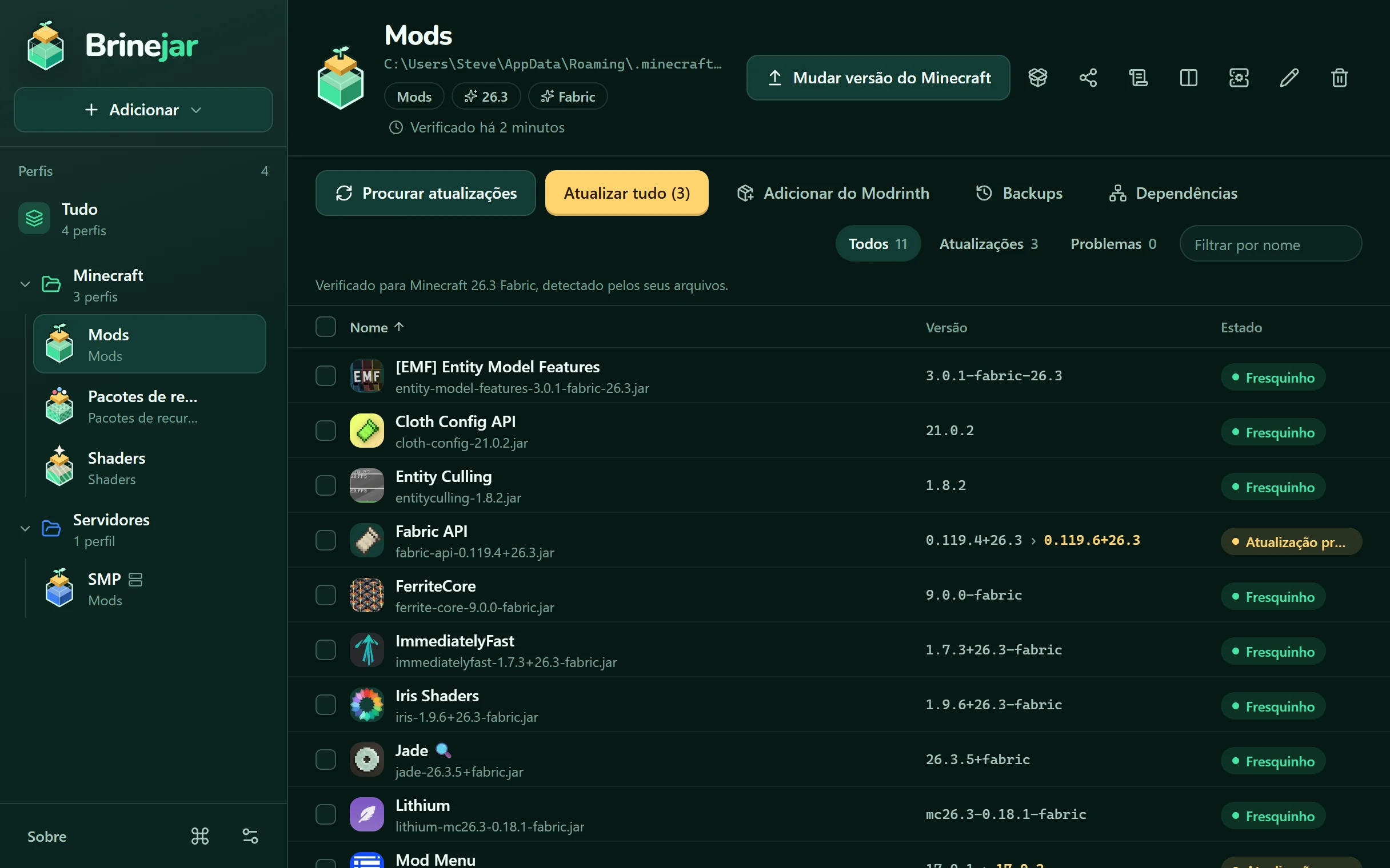 Brinejar listando os mods de um perfil, com versões e status